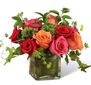 Hot pink, orange, and red roses capture the eye and the imagination accented with green trachelium, bupleurum, and ivy vines for a fresh look. Presented in a clear glass cubed vase lined with ti green leaf material to add to the overall display,