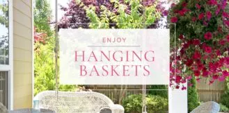 HangingBaskets-blog